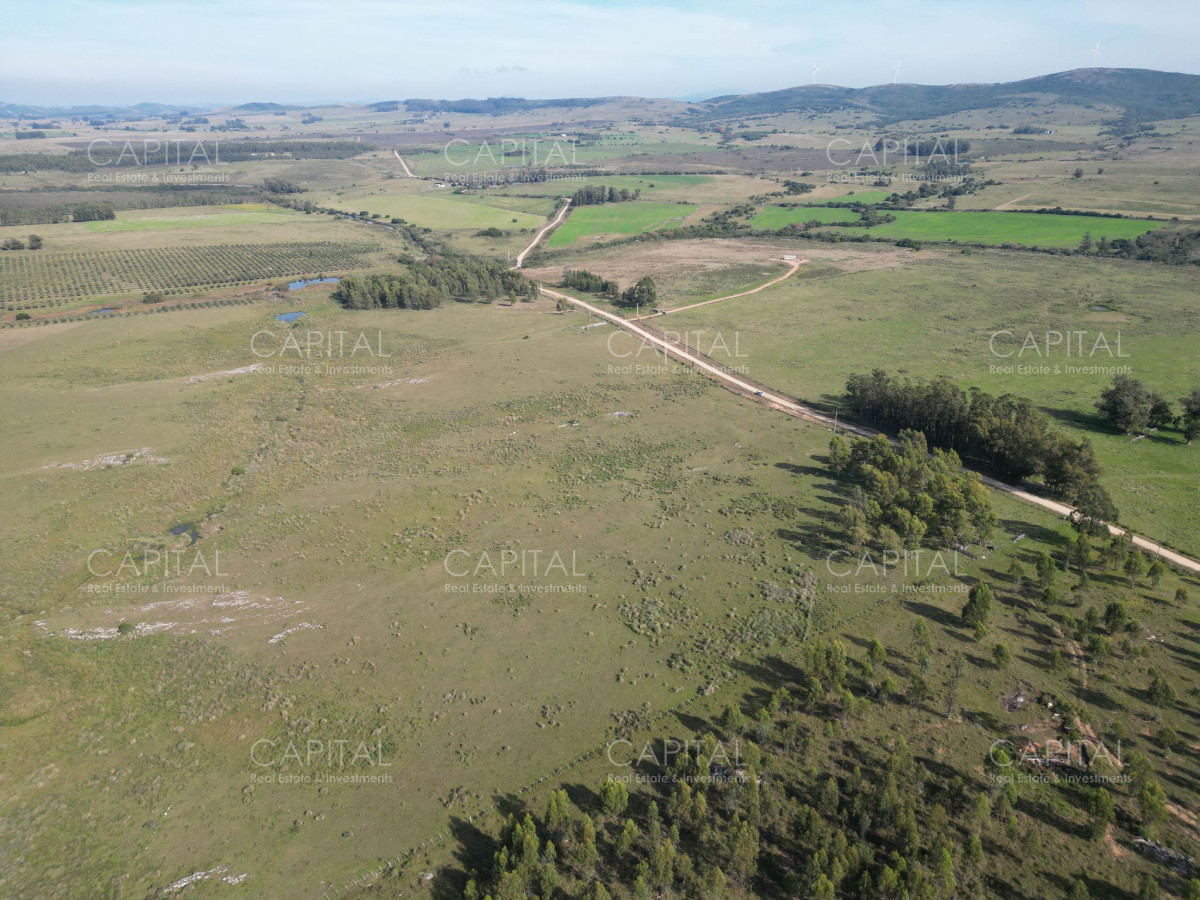 Chacra ID.38277 - Chacra 5 has - Sierra de los Caracoles