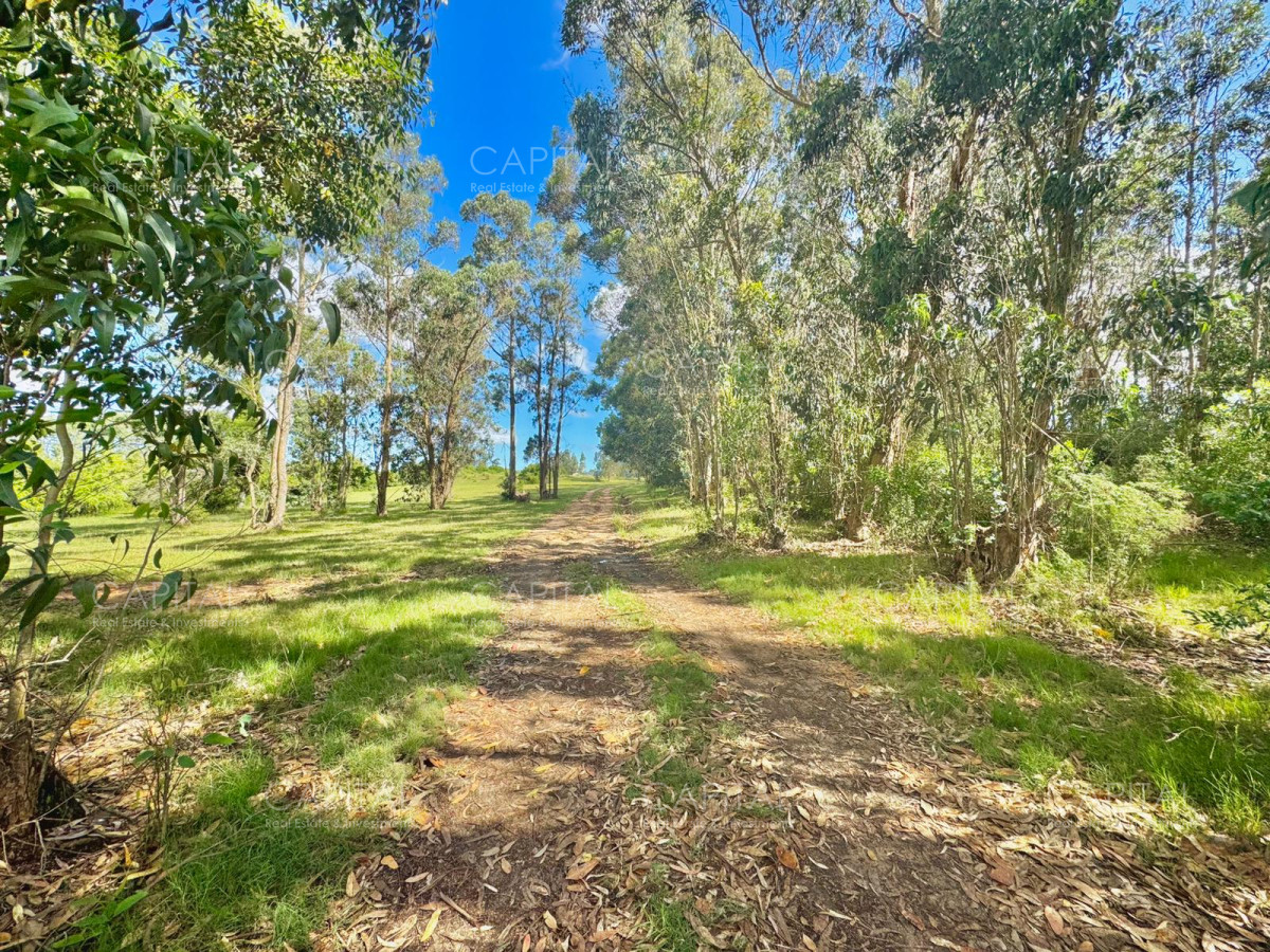 Chacra ID.37032 - Chacra en Ruta 104 de 5 hectáreas con moderna casa