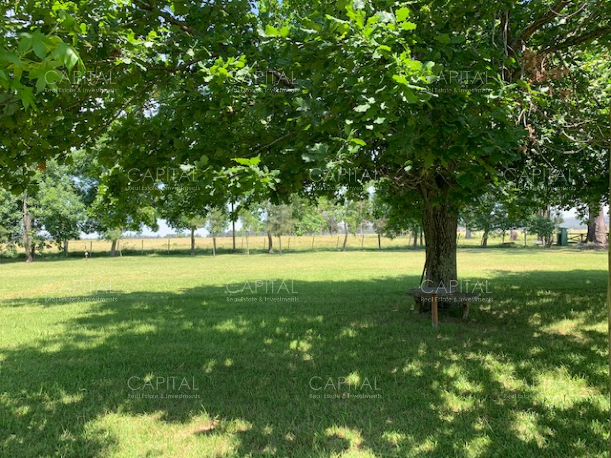 Chacra ID.28488 - Chacra con arroyo de casi 19 hectáreas disponible en Venta