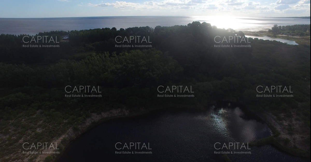 Chacra ID.29280 - Chacra con costa al Rio de La Plata