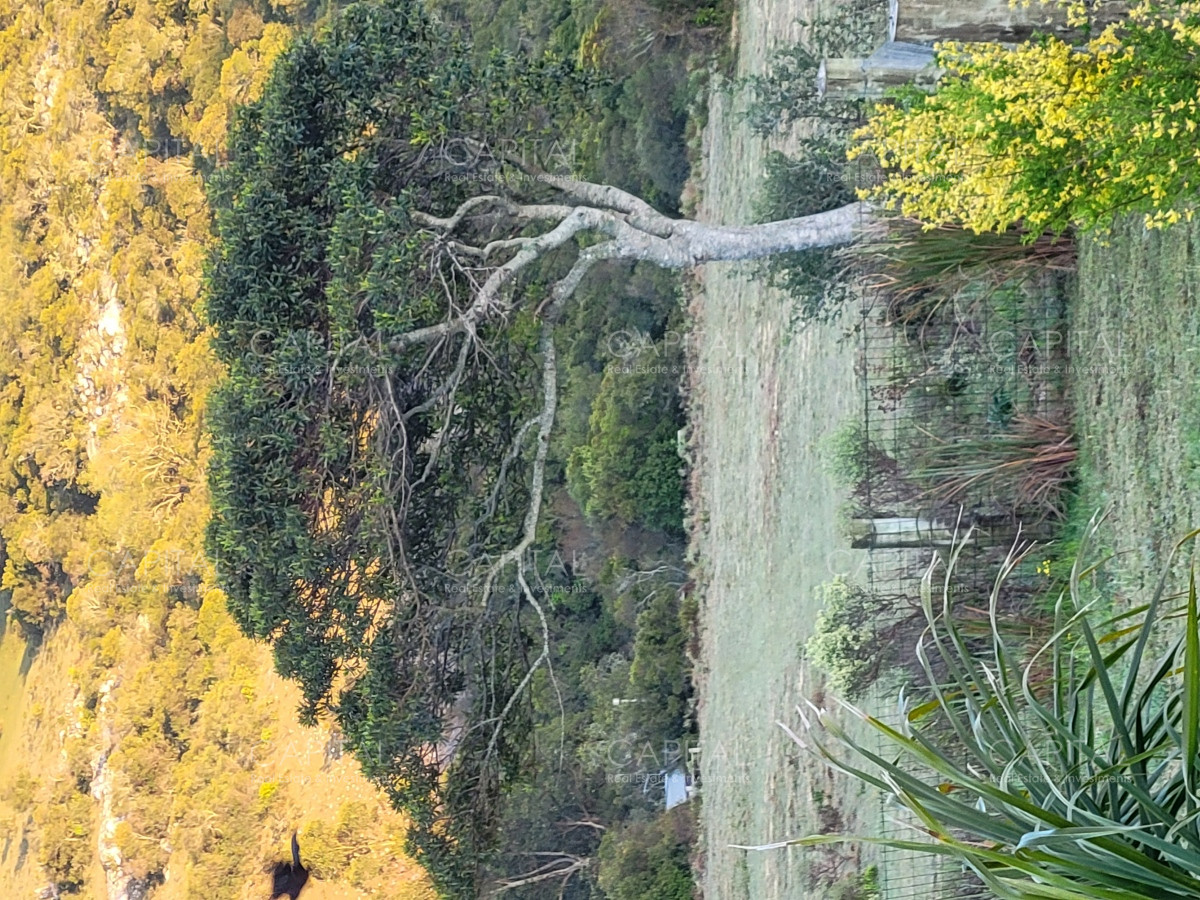 Chacra ID.35103 - Chacra en venta Sierras de Maldonado - Uruguay.