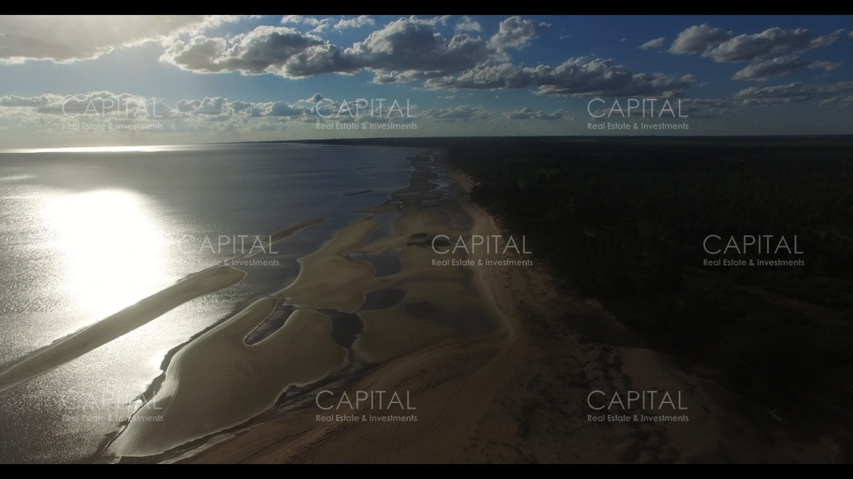 Chacra ID.29280 - Chacra con costa al Rio de La Plata