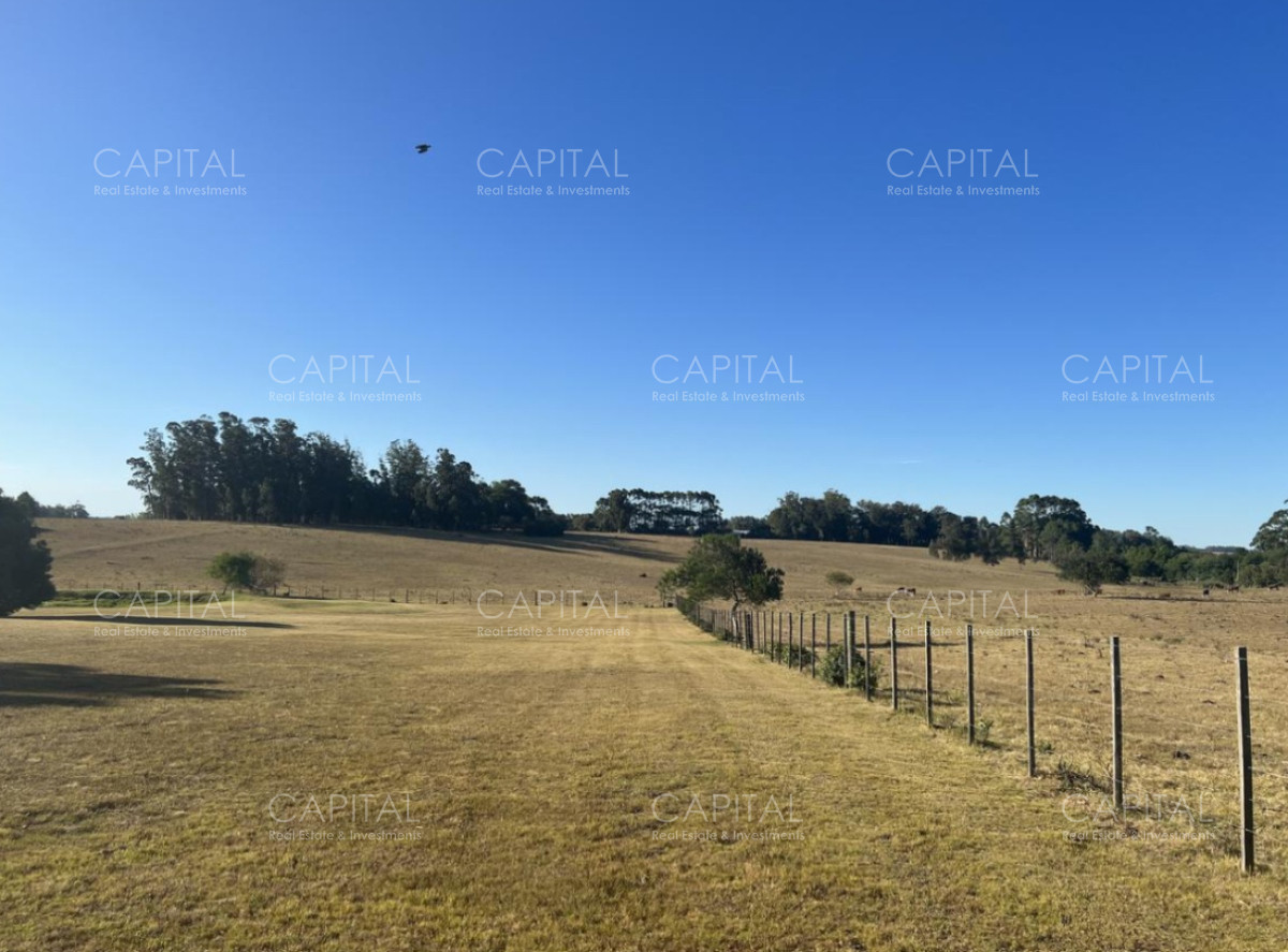 Chacra ID.36713 - Chacra de 5 Has en Las Portuguesas