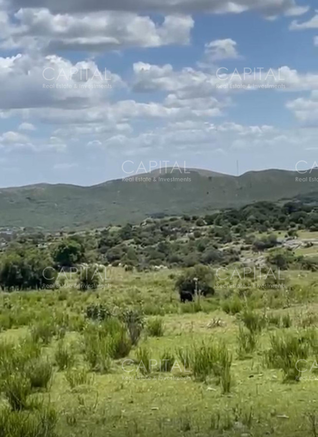 Chacra ID.38327 - Chacra de 8 has - zona MATAOJO 