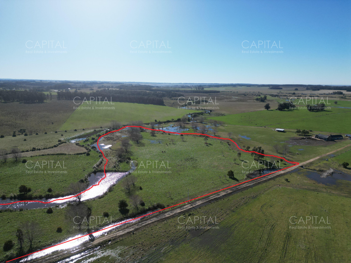 Chacra ID.38869 - Chacra de 5 has próxima a ruta 104 próximo a MACA ,Pueblo Mío, NARBONA La Plantación