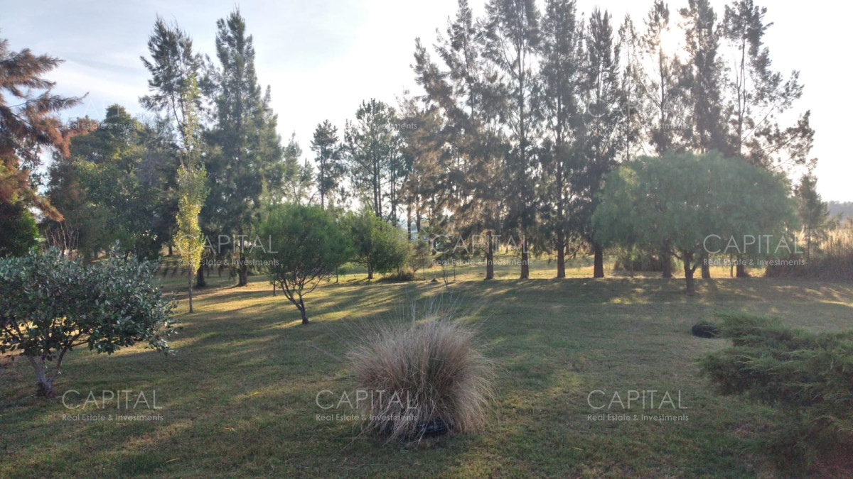 Chacra ID.36226 - Chacra de 5has en venta, Camino de Eguzquiza San Carlos 