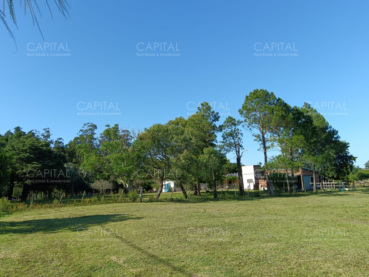 Chacra ID.37396 - CHACRA de 2 HAS.  a 200m de ruta 9 