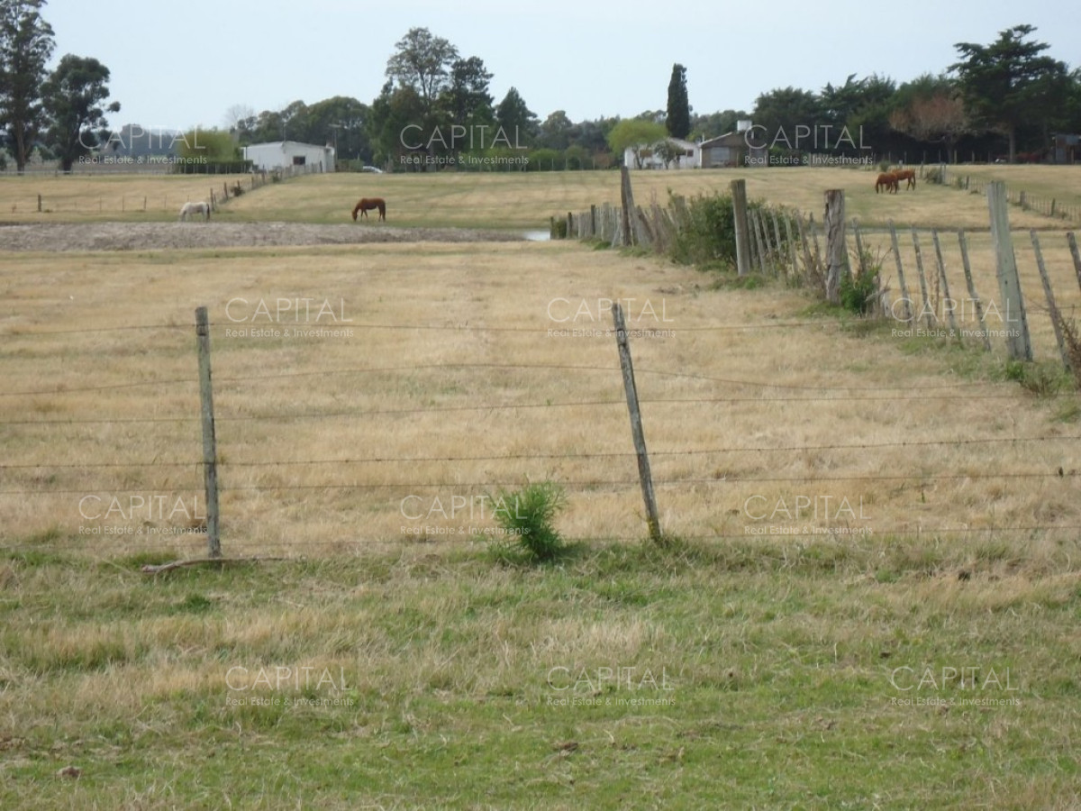 Chacra ID.27664 - Excelente Chacra en venta en zona de La Pataia