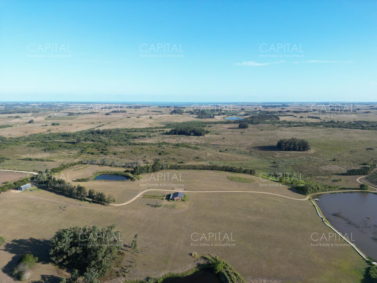 Chacra ID.39820 - Chacra de 31 has José Ignacio 