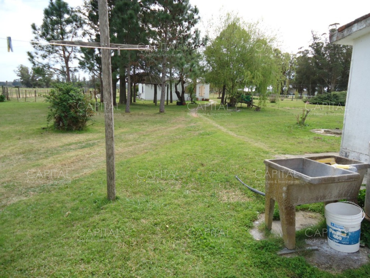 Chacra ID.27664 - Excelente Chacra en venta en zona de La Pataia