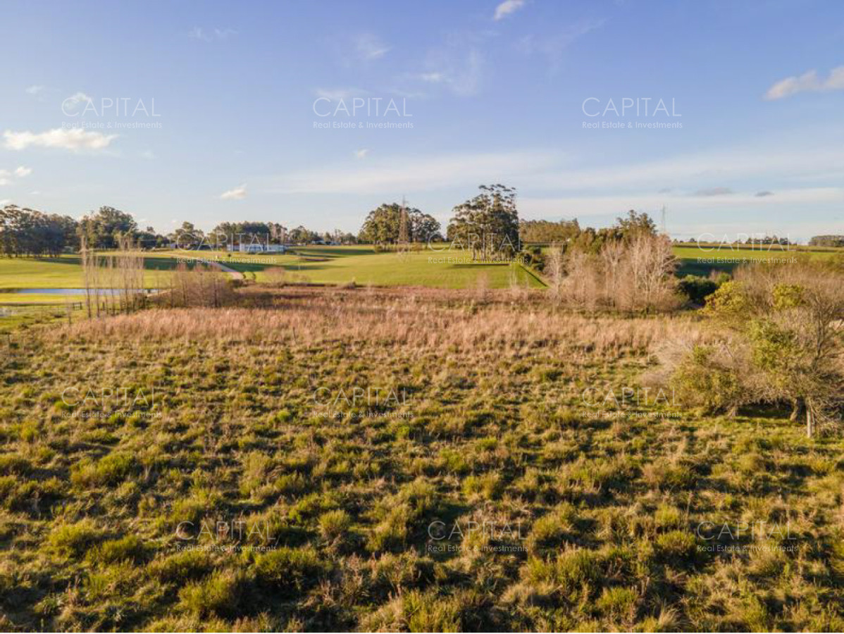 Chacra ID.37887 - Chacra en Venta - Naturaleza, Privacidad y Vistas Panorámicas en Cerro Egusquiza