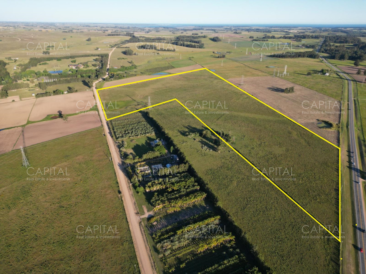 Chacra ID.39219 - Chacra de 23 has sobre ruta104