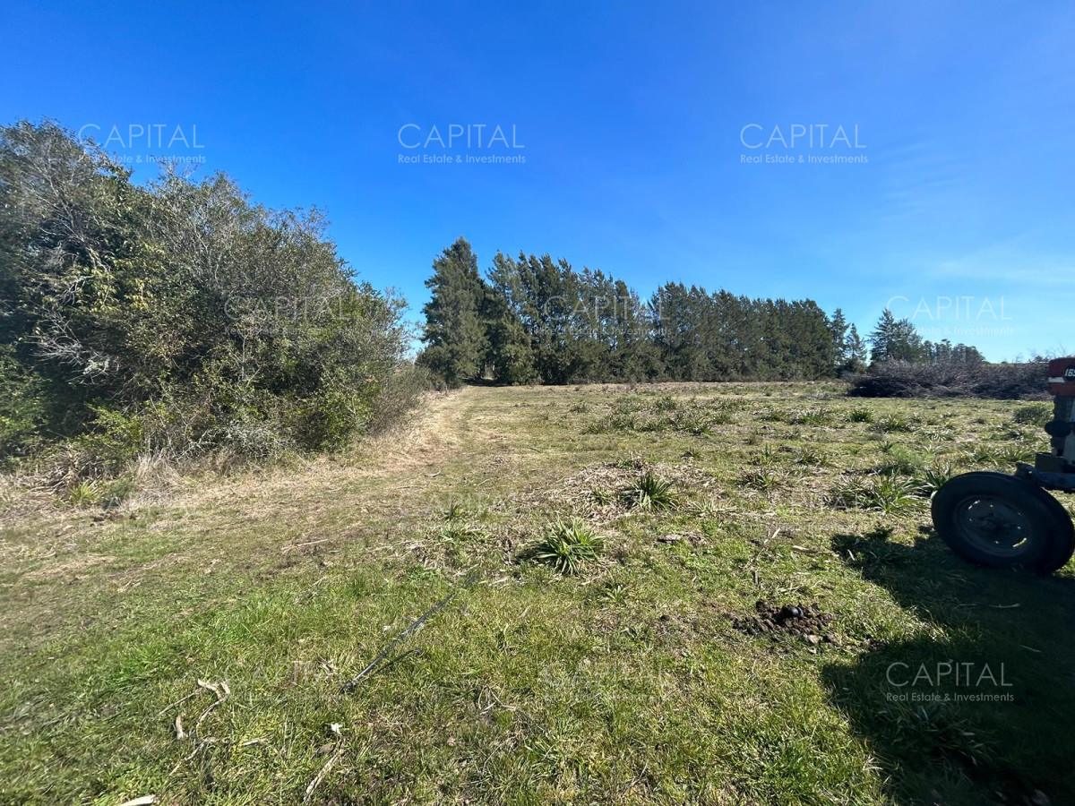 Chacra ID.35123 - Chacra con casa moderna en venta, Ruta 39. 