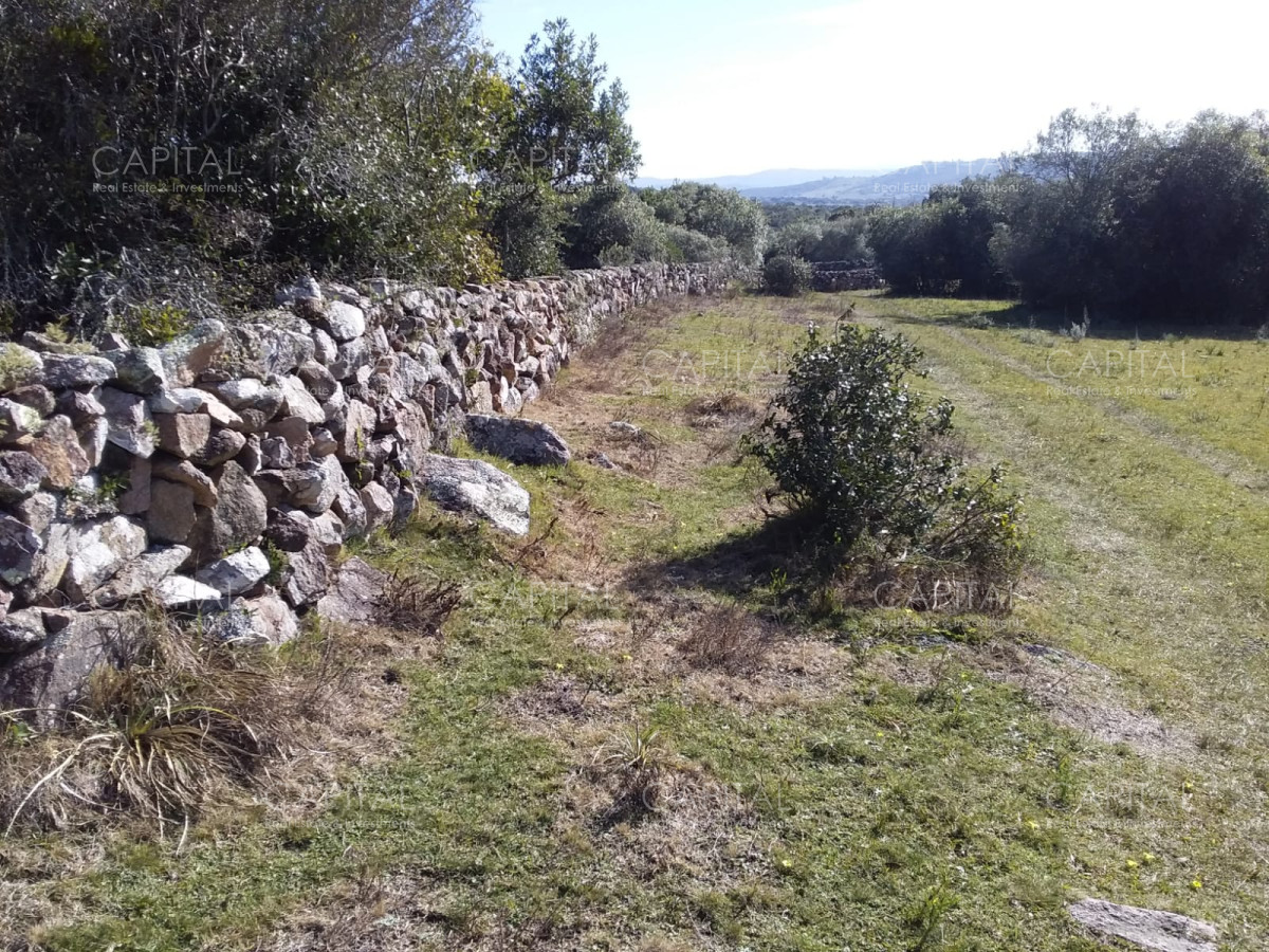 Chacra ID.31247 - Chacra en Ruta 39, en venta