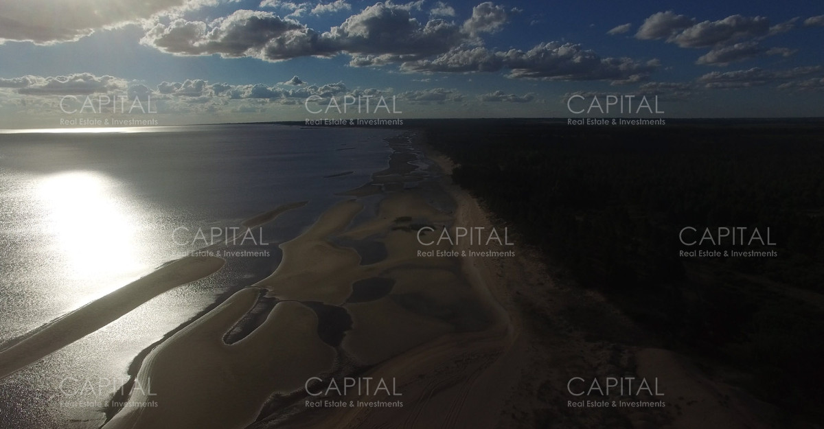 Chacra ID.29280 - Chacra con costa al Rio de La Plata