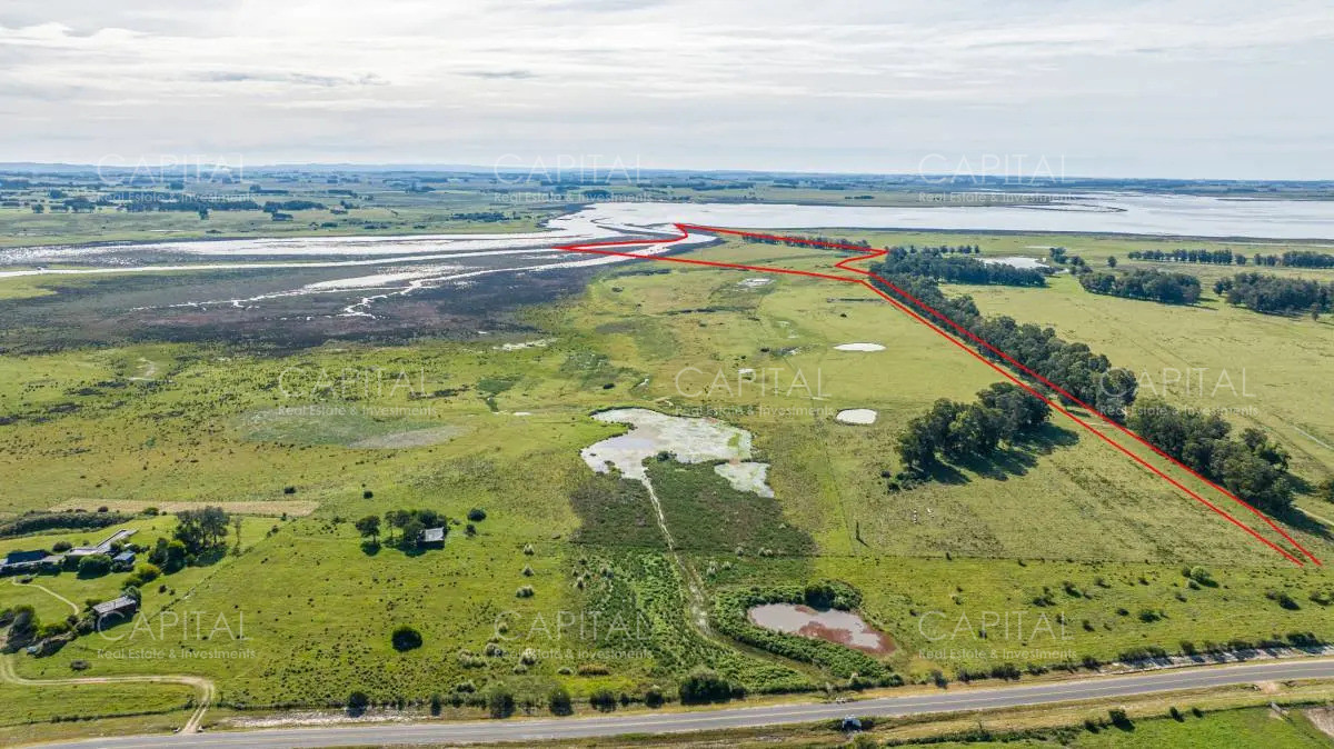 Chacra ID.39457 - Chacra en Venta Jose Ignacio