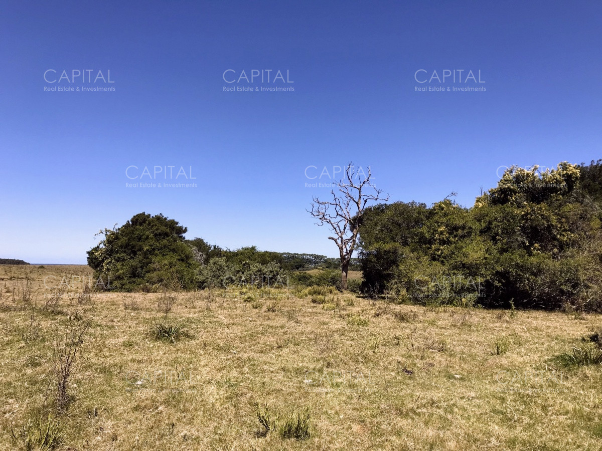 Chacra ID.29940 - Chacra en El Caracol - Garzon 108 Has, en venta