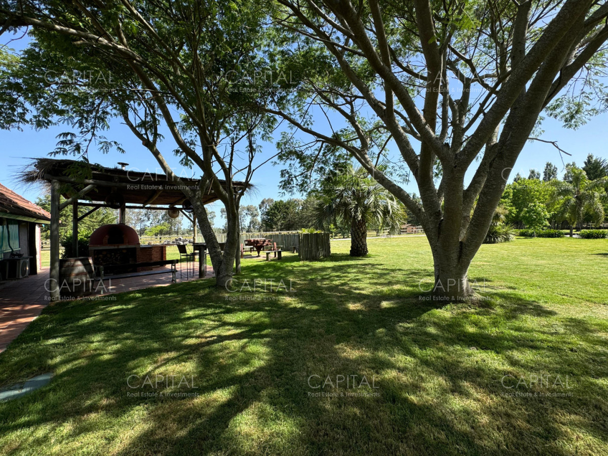 Chacra ID.39118 - Chacra en Venta La Pataia