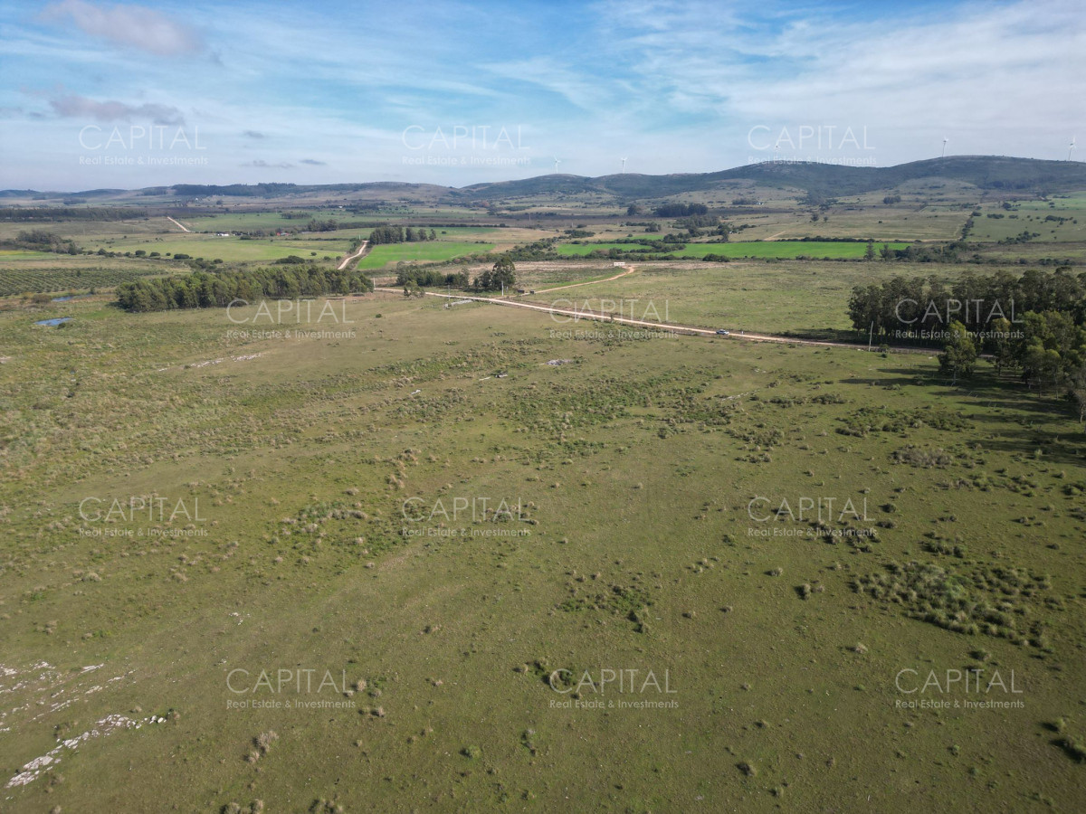 Chacra ID.38277 - Chacra 5 has - Sierra de los Caracoles