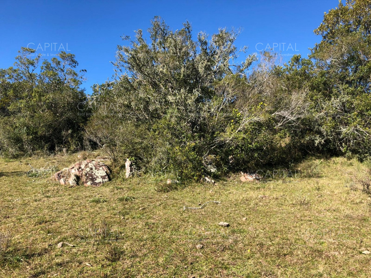 Chacra ID.31247 - Chacra en Ruta 39, en venta