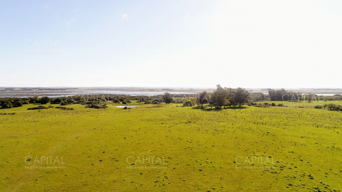 Chacra ID.29940 - Chacra en El Caracol - Garzon 108 Has, en venta