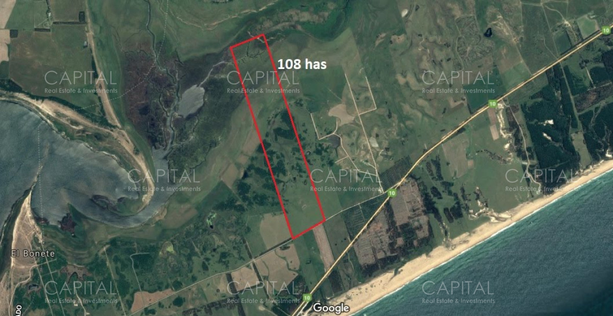 Chacra ID.29940 - Chacra en El Caracol - Garzon 108 Has, en venta