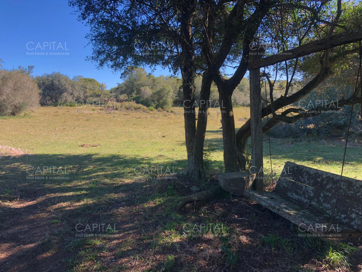 Chacra ID.31247 - Chacra en Ruta 39, en venta