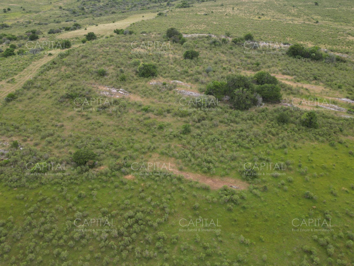 Chacra ID.37213 - Chacras Sierras de caracoles a 30 min de Punta del Este