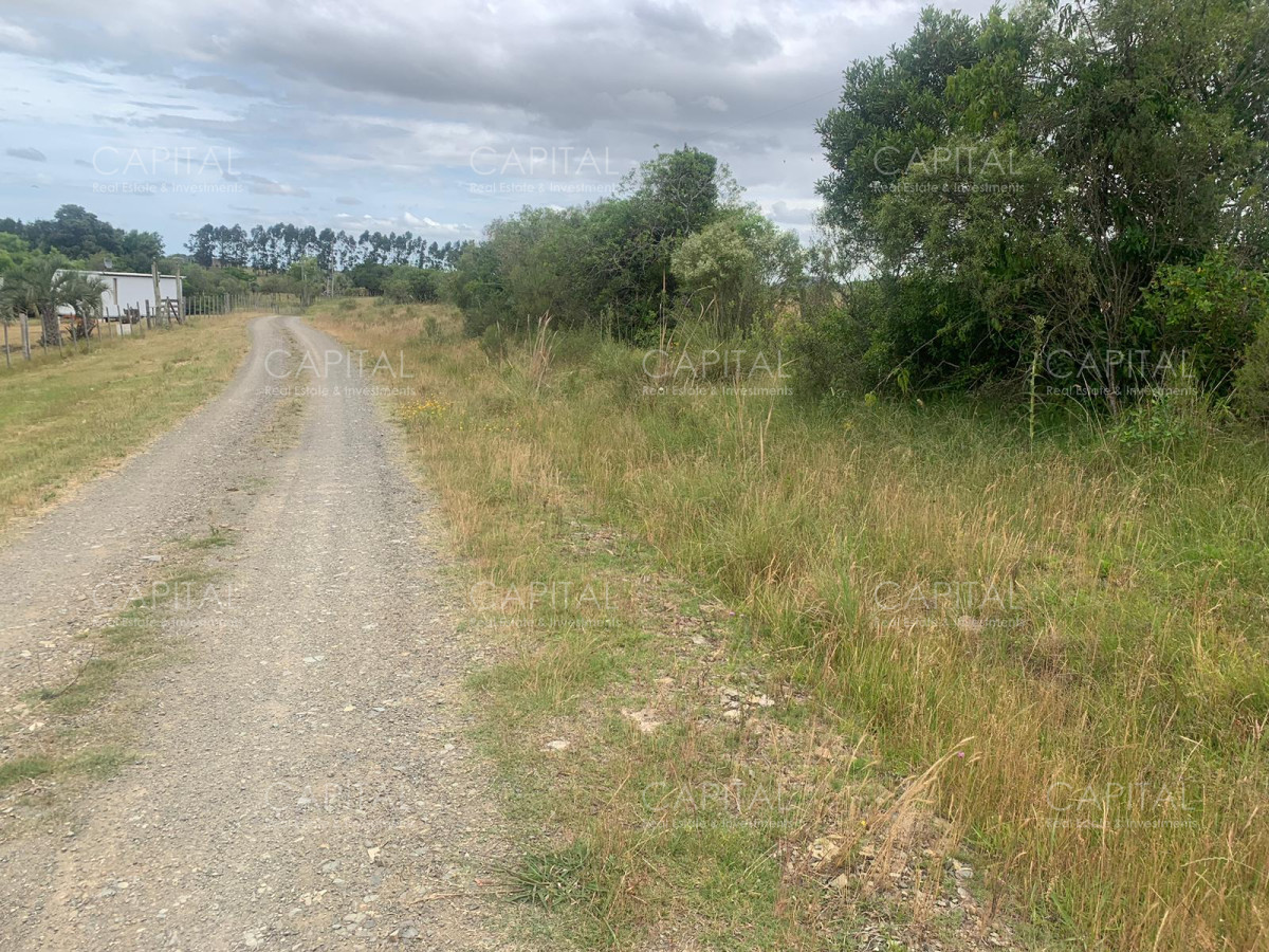 Chacra ID.37213 - Chacras Sierras de caracoles a 30 min de Punta del Este