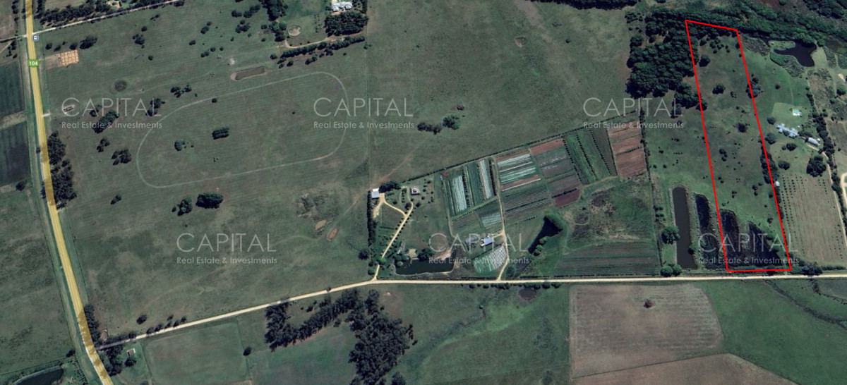 Chacra ID.38837 - Chacra de 5 has sobre ruta 104 próximo a NARBONA La Plantación