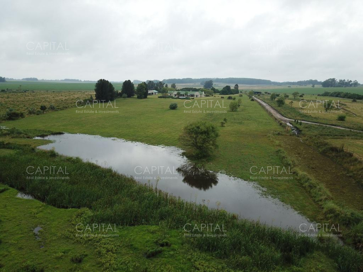Chacra ID.36915 - Chacra en venta Ruta 104 Manantiales Próximo a Pueblo Mio - MACA - La Plantación Narbona