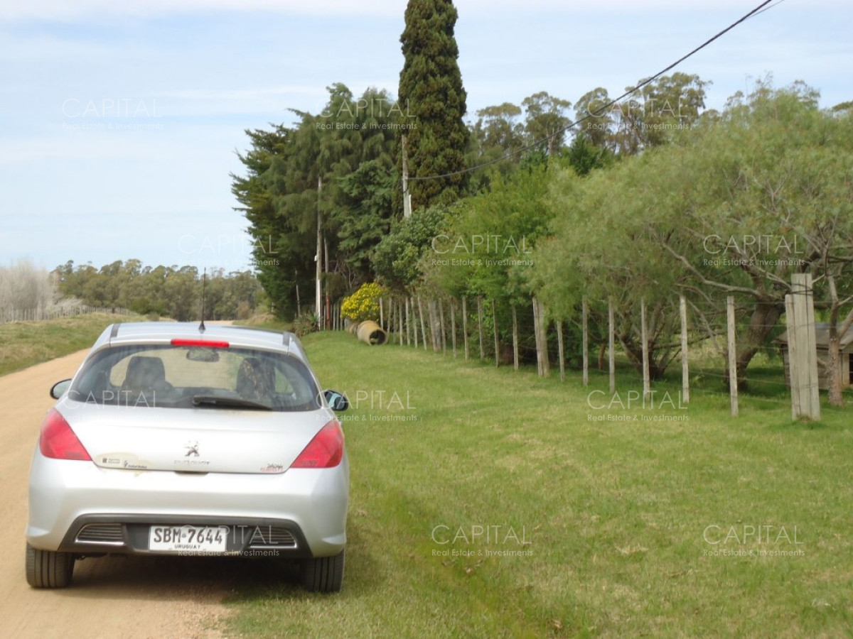 Chacra ID.27664 - Excelente Chacra en venta en zona de La Pataia