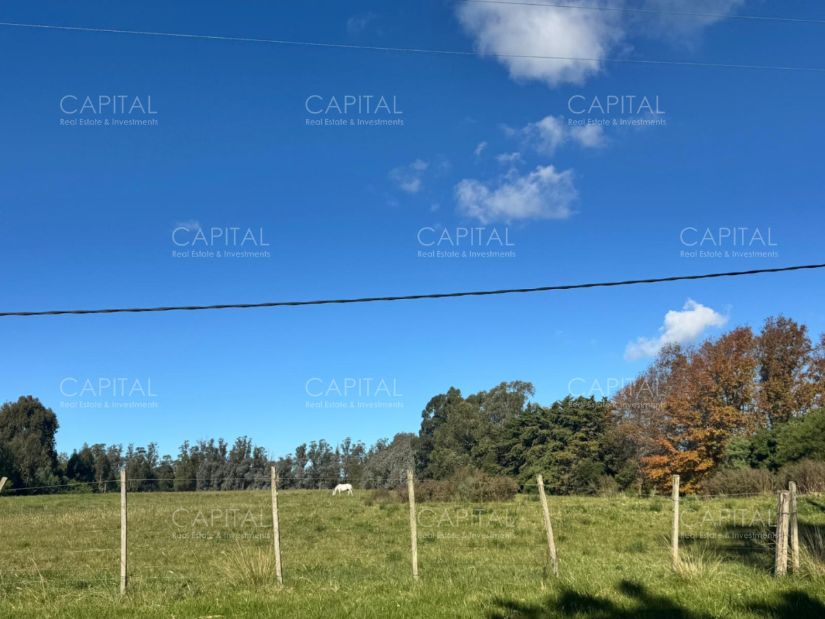 Chacra ID.40177 - Venta Chacra 3 Hectareas en La Barra