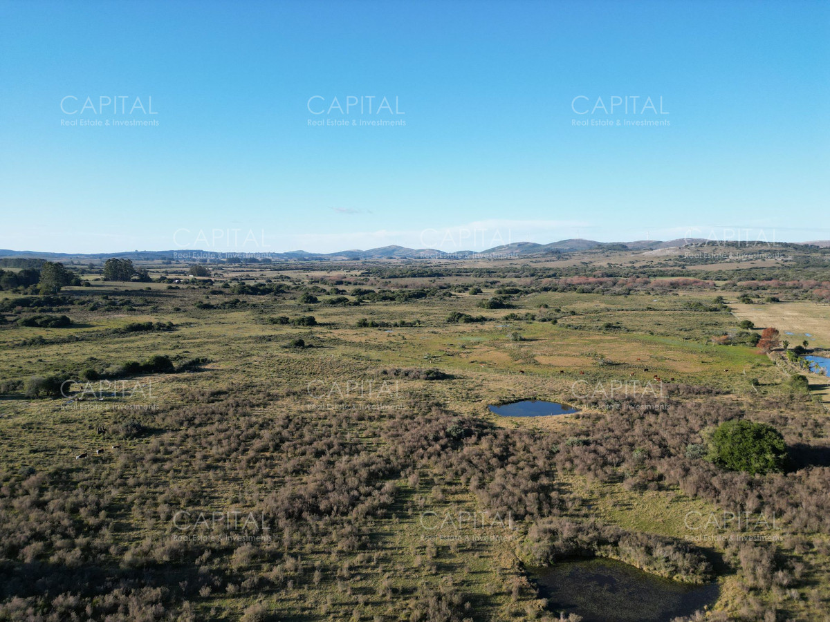 Chacra ID.38490 - Chacra de 9 has, Pueblo Edén 