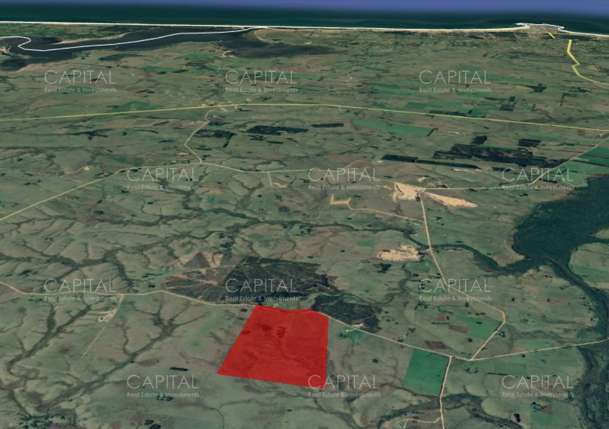 Chacra ID.30496 - Chacra en Venta a 18km de Jose Ignacio