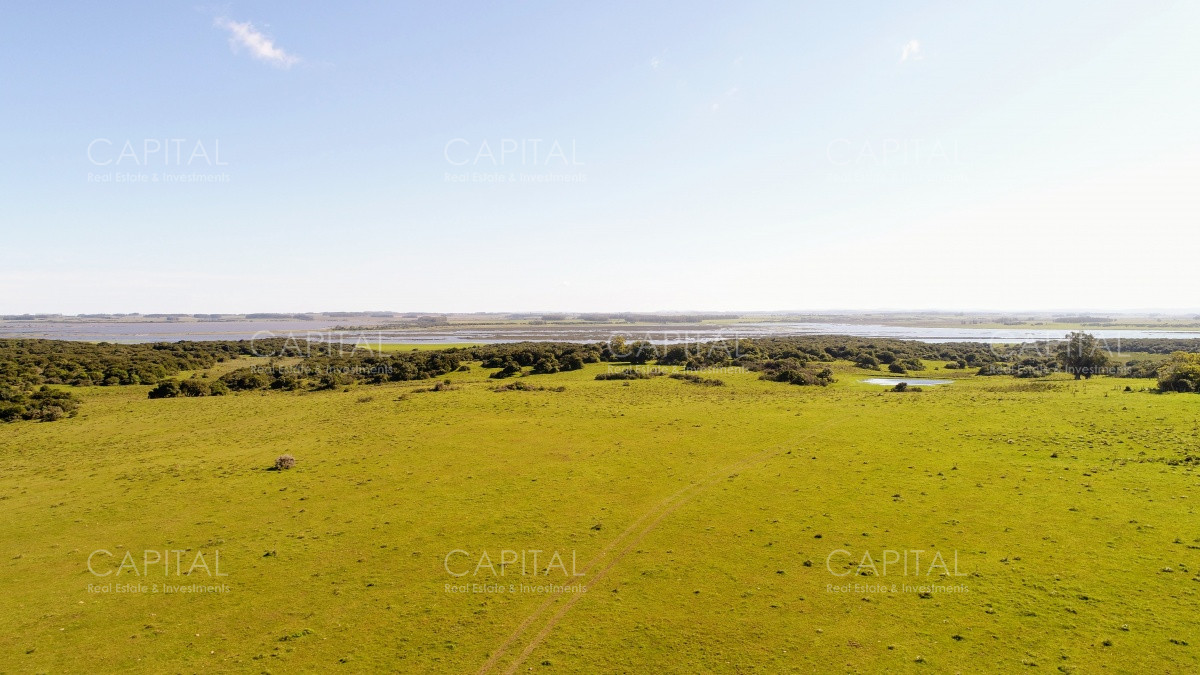 Chacra ID.29940 - Chacra en El Caracol - Garzon 108 Has, en venta