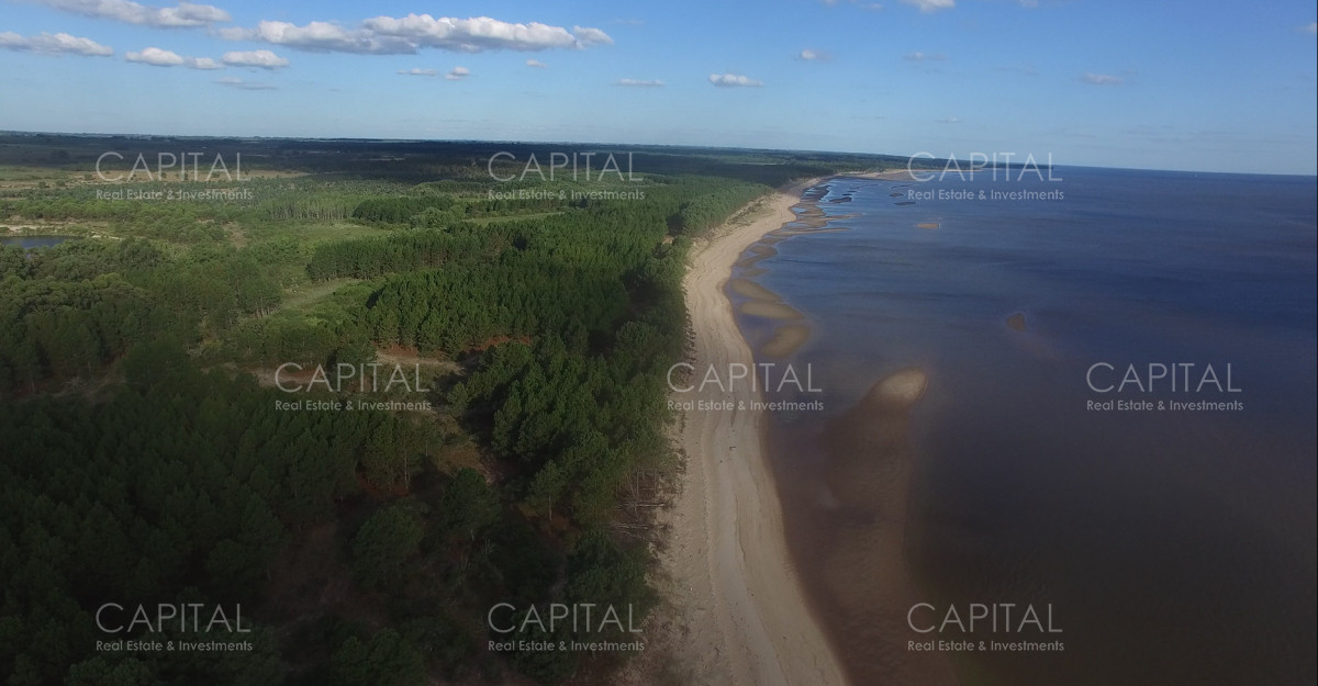 Chacra ID.29280 - Chacra con costa al Rio de La Plata