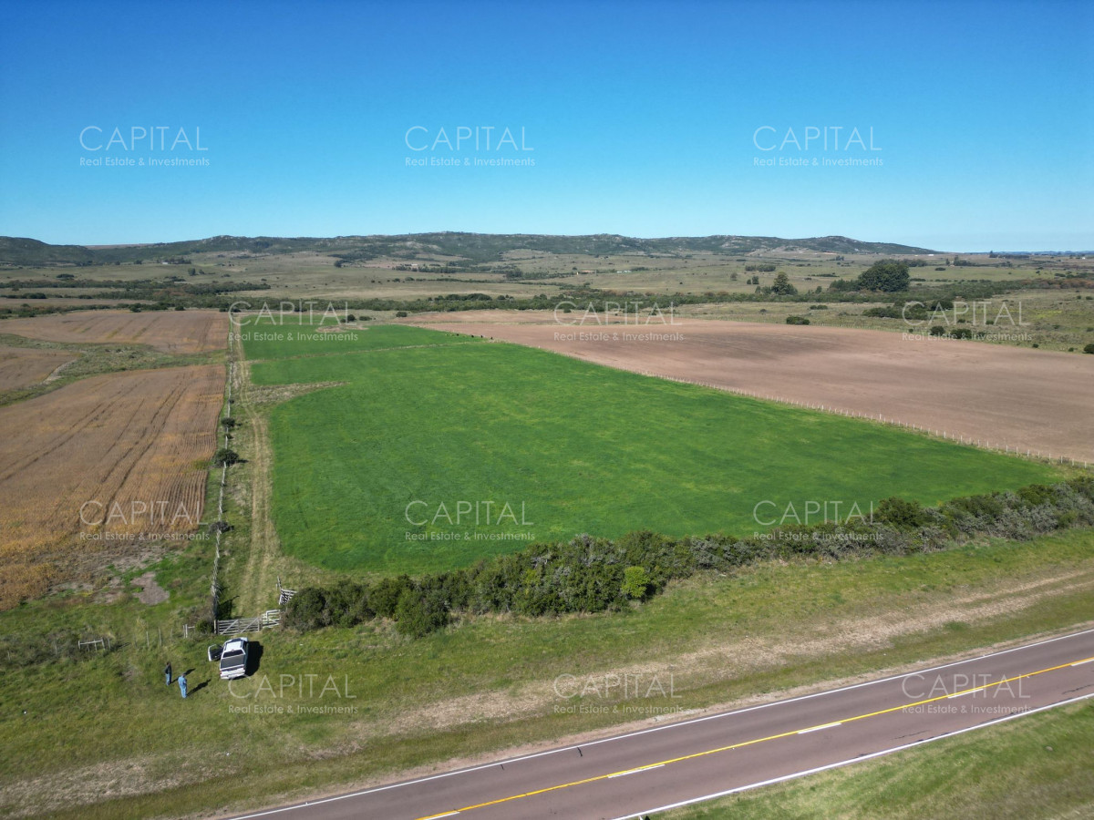 Chacra ID.38260 - Chacra de 10 has en Ruta 39 a min. de San Carlos 