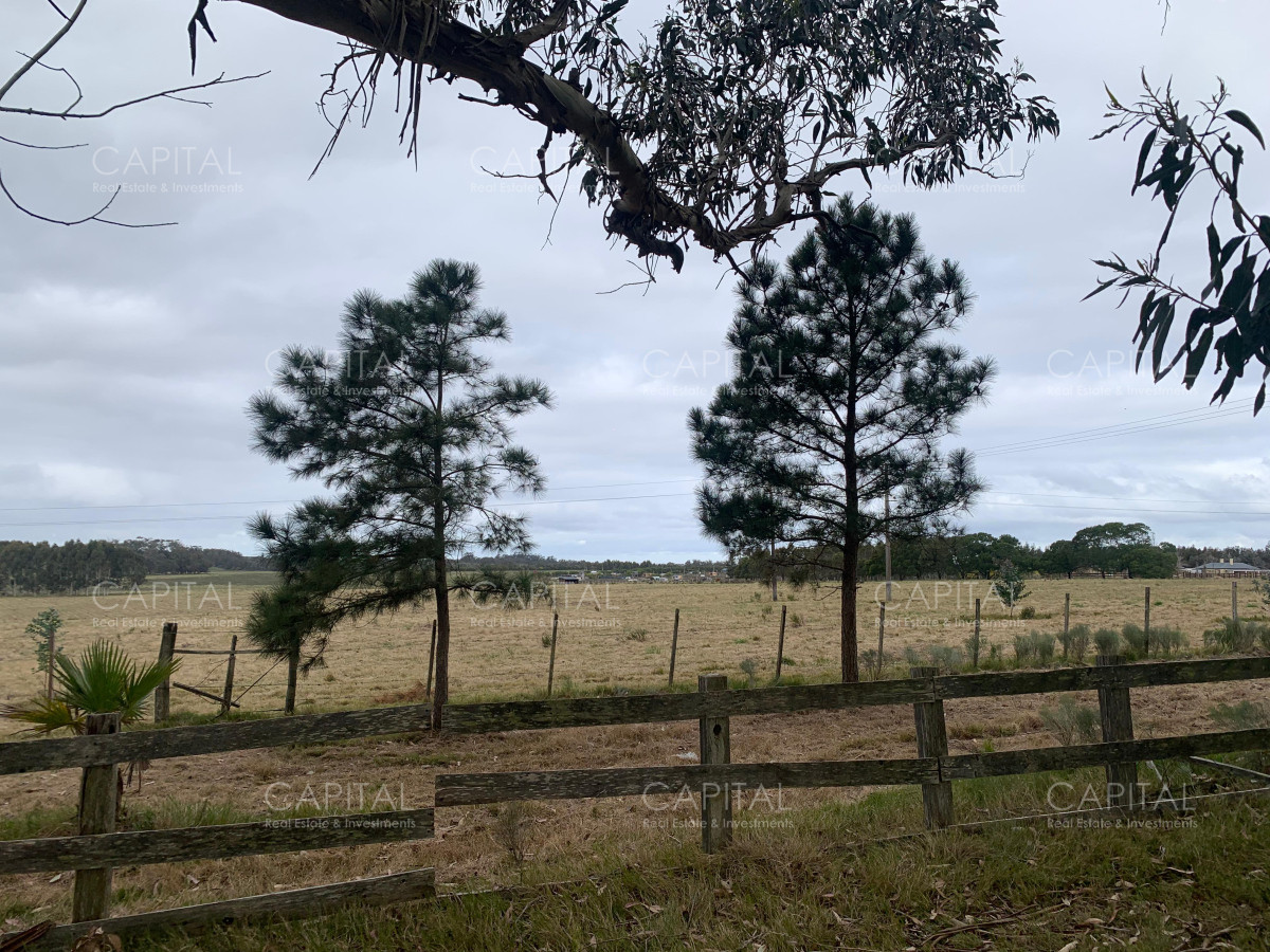 Chacra ID.38797 - Espectacular chacra 10 has sobre ruta 104 ,Pueblo Mío , MACA , NARBONA