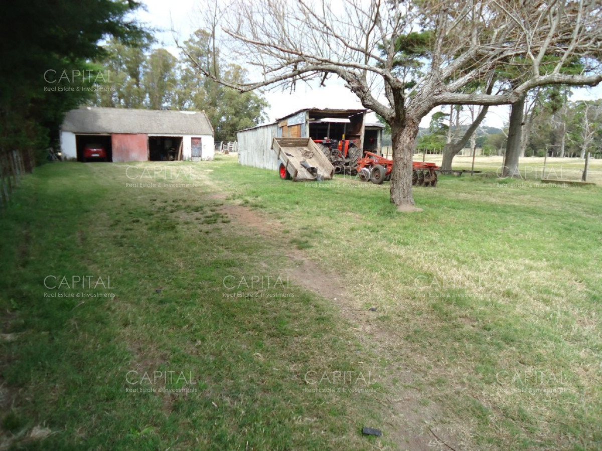 Chacra ID.27664 - Excelente Chacra en venta en zona de La Pataia