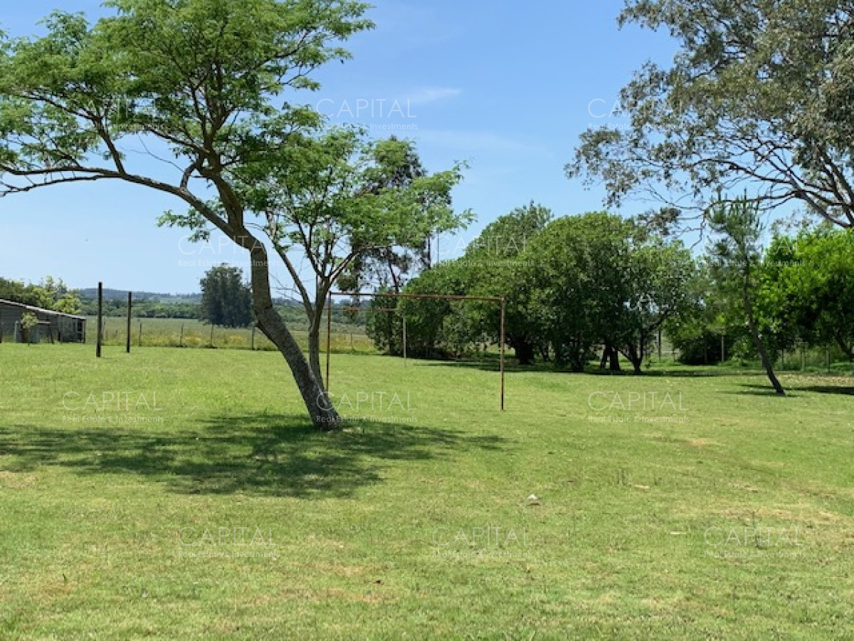 Chacra ID.28488 - Chacra con arroyo de casi 19 hectáreas disponible en Venta