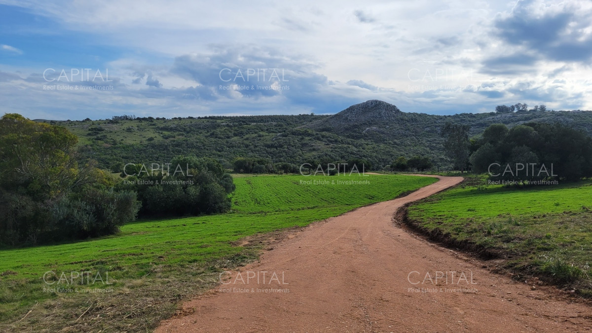 Chacra ID.35105 - Chacra en venta, Sierras de Maldonado - Uruguay