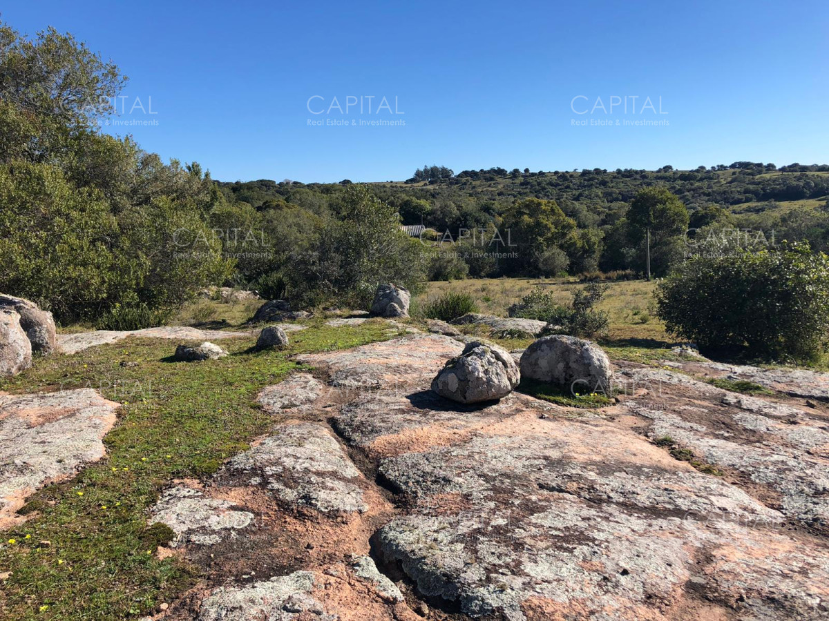 Chacra ID.31247 - Chacra en Ruta 39, en venta