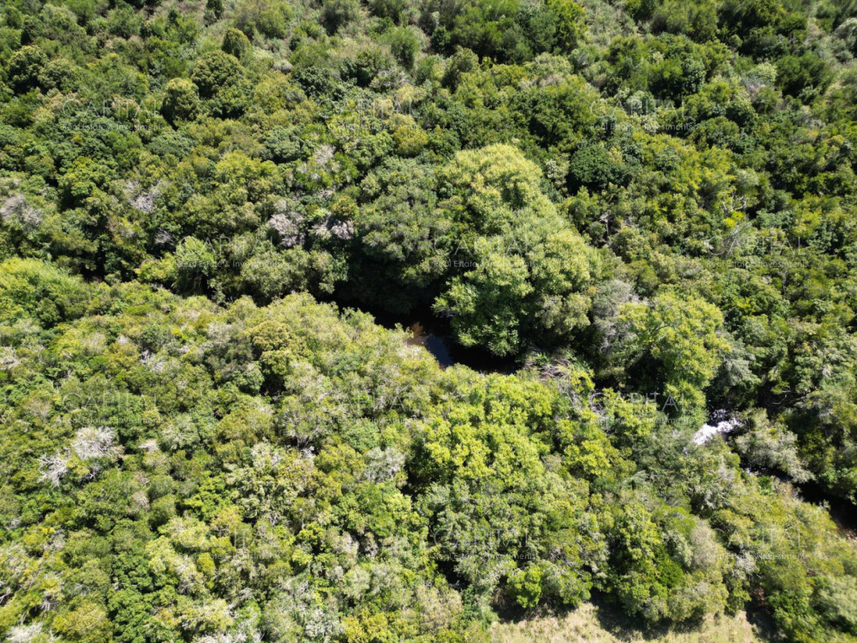 Chacra ID.39639 - Inversión estratégica :Excelente chacra con gran potencial turístico 11has  