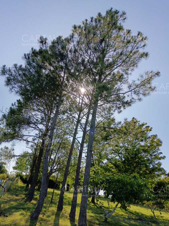 Chacra ID.37396 - CHACRA de 2 HAS.  a 200m de ruta 9 