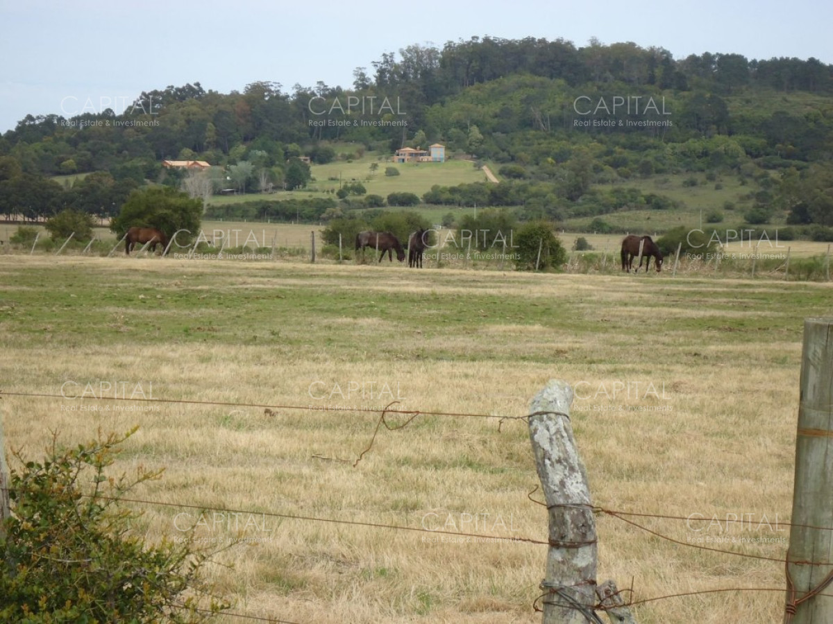 Chacra ID.27664 - Excelente Chacra en venta en zona de La Pataia