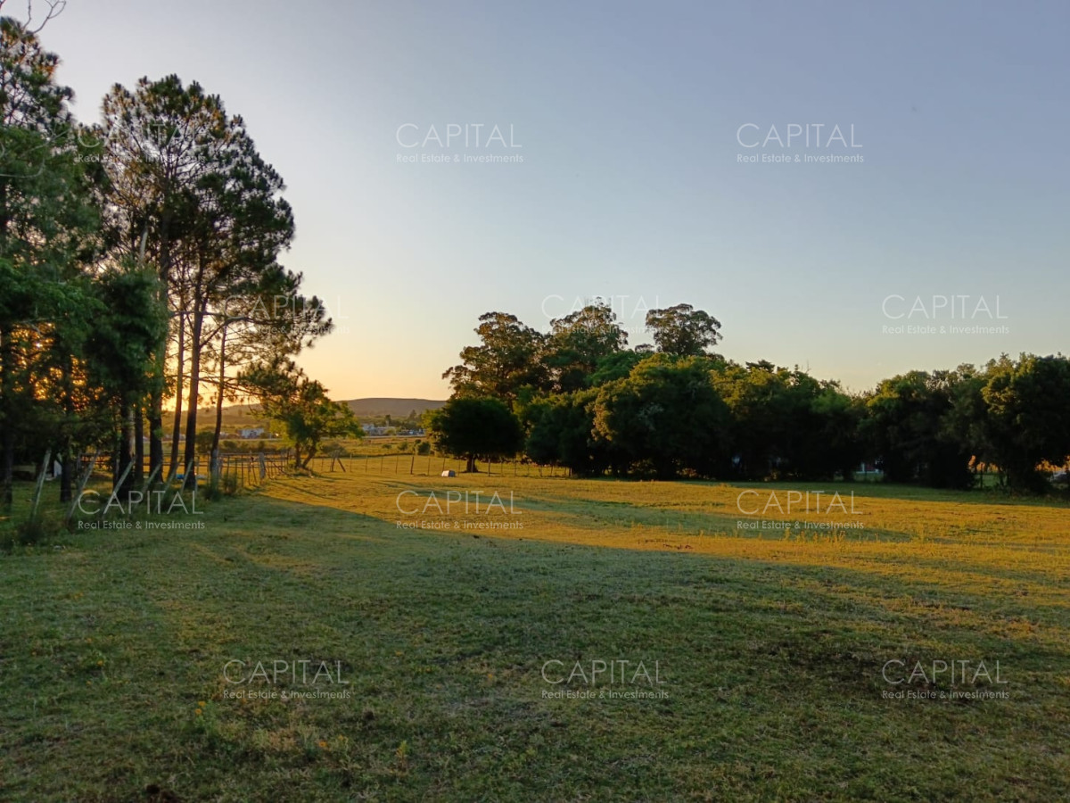 Chacra ID.37396 - CHACRA de 2 HAS.  a 200m de ruta 9 