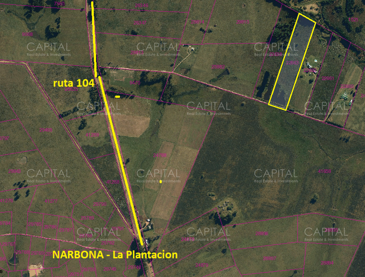 Chacra ID.38837 - Chacra de 5 has sobre ruta 104 próximo a NARBONA La Plantación