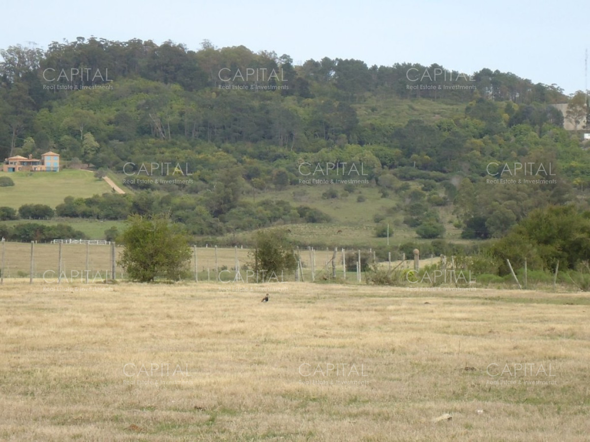 Chacra ID.27664 - Excelente Chacra en venta en zona de La Pataia