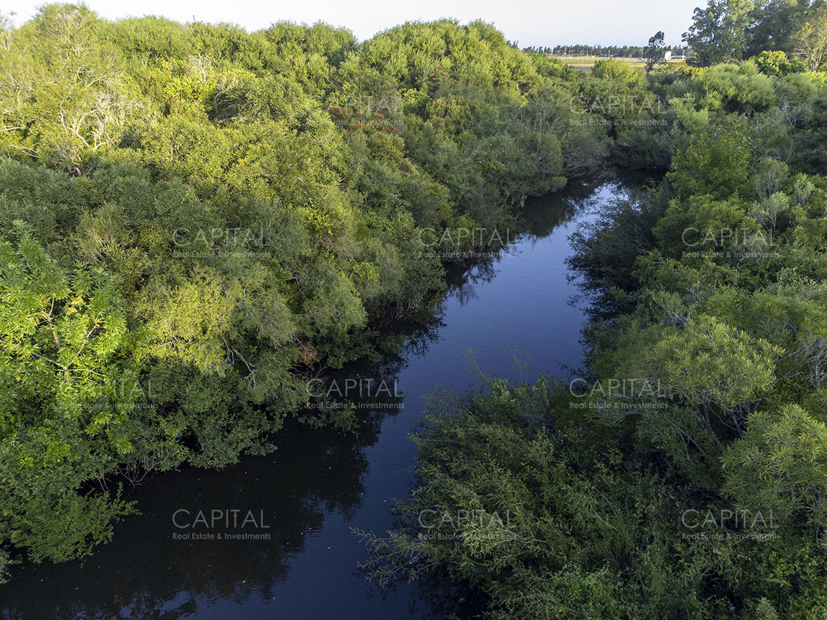 Chacra ID.37799 - CHACRAS Vilaró 